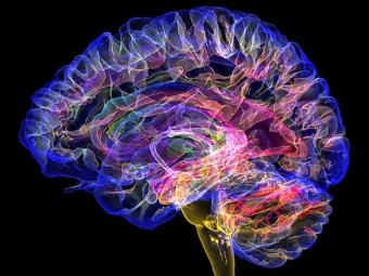 色哩屄哩大脑植入物有助于严重头部损伤恢复